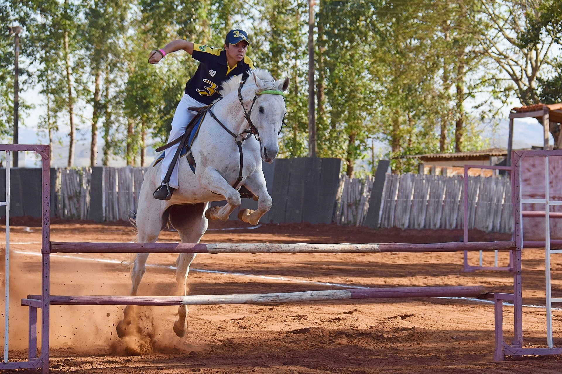 Хорс райдинг спорт